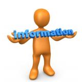 Auction Bidding Information