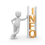 Auction Information!