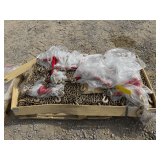 Pallet - 2025 Landhonor Unused LHR-RC5400 5400lb Ratchet Binders and G70 Chains