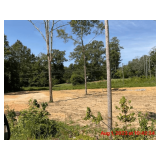 104 Cottage Lane, Sterrett, AL