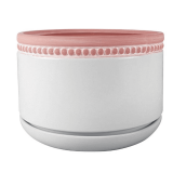 (3) Trendspot 6 in. Ada White Ceramic Planter