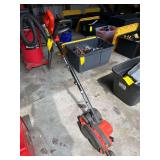 Electric Edger