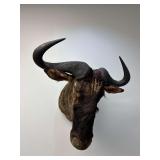Blue Wildebeest Shoulder Mount