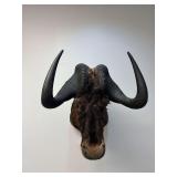 Blue Wildebeest Shoulder Mount
