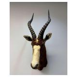 African Blesbok Shoulder Mount