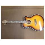 Electric Acoustic 10 String Guitar