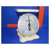 American Family Scale