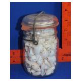 Glass Jar w/ Seashells