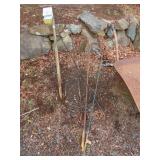 Lot of Shepherd Hooks & Birdhouse