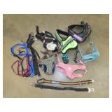 Lot of Dog Accesories