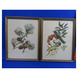 2 Francis Lee Jaques Bird Prints - 9x12