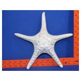 Pottery Style Star Fish