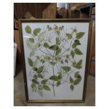 Framed Botanical Print