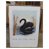 Framed Eye of the Swans Print