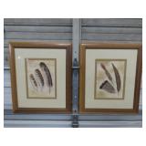 Pair of Framed Feather Prints - 24'x28'