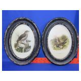 Pair of Oval Framed Bird Prints - 9"x12"