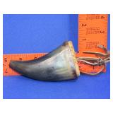 Powder Horn