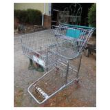 Food Lion Shopping Cart