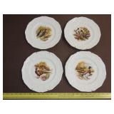 Set of Four Bird Wildlife Plates