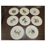 Alfred Meakin Birds of America Plates - 11'
