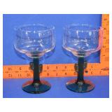 2 Cactus Glasses