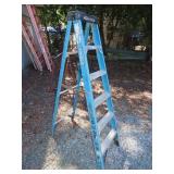 Werner Fiberglass 6 Ft Step Ladder