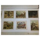 Antique Color Lithographs - 14pcs
