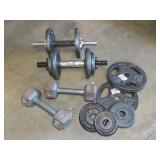 Exercise Weights