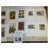 Antique Color Lithographs - 18pcs