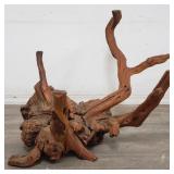Large driftwood specimen