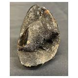 Natural Septarian specimen