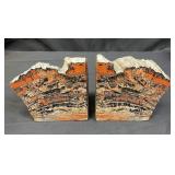 Petrified wood bookends