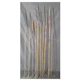 Group of ten native wood spears