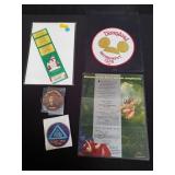Group of Disneyland pins, patch, silver pass and