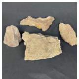 Group of petrified wood specimens
