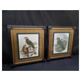 Pair of bird prints metal and wood framed