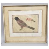 Hand colored etching on paper