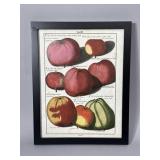 Framed print of apples