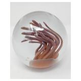 Signed art glass paperweight