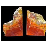 Petrified wood bookends