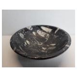 Moroccan polished ortheras fossil bowl