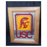 USC mirror