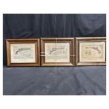 3 framed vintage prints of colt pistol