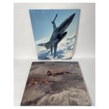 Two aerial photo prints of fighter jets on foam
