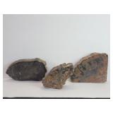 Three petrified wood specimens