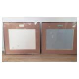 Two Jerry Solomon frames