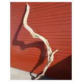 Large driftwood decoration