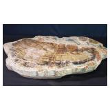 Petrified wood slab
