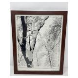 Signed framed photograph