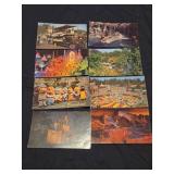 Lot of 8 Disney postcards